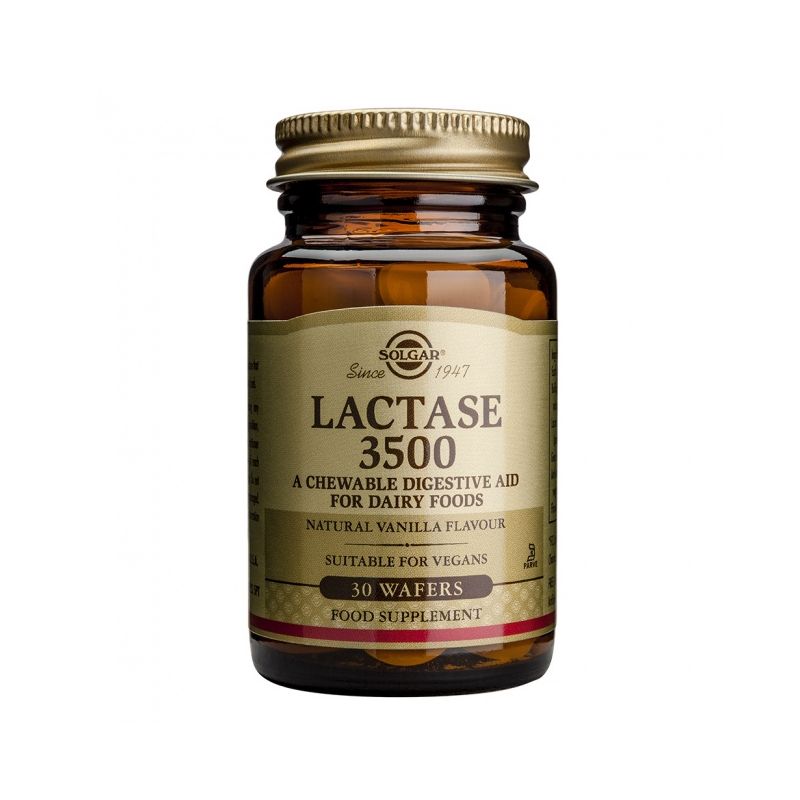 Solgar Lactase 3500 Συμπλήρωμα Διατροφής που Βοηθά στη Πέψη των Γαλακτοκομικών Προιόντων 30 Wafers