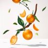 Roger & Gallet Bois d'Orange Eau parfumee bienfaisante 30ml