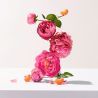 Roger & Gallet Rose Eau parfumee bienfaisante 30ml