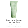 Abib Acne foam cleanser Heartleaf foam 150ml