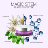 Aurora Magic Stem Plant To Peptide Cream 70ml