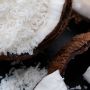 Coconut Flakes Body Scrub - The Pionears 200ml - The Pionears