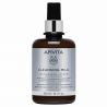 Apivita Cleansing Milk Γαλάκτωμα Καθαρισμού 3 Σε 1 Για Πρόσωπο & Μάτια Με Χαμομήλι & Μέλι 300ml